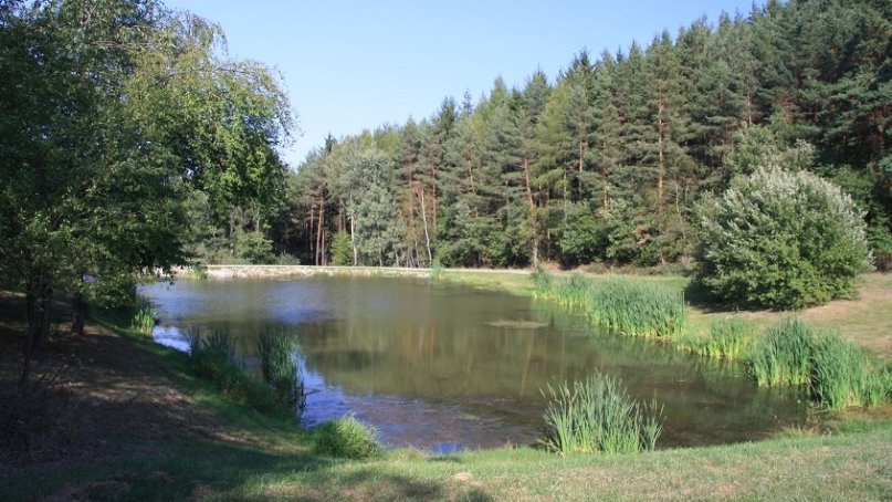 Bio centrum Na Loučkách